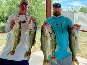 Consistent Largemouth Action and Solid Spring Patterns Emerging