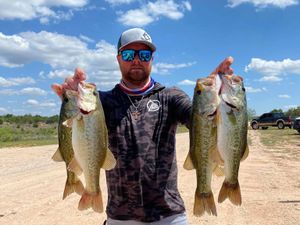Book a Bass Fishing Trip on Lake O.H. Ivie