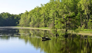 Things To Do in South Carolina