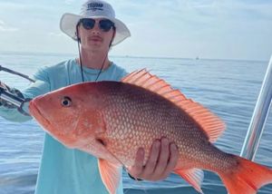 The Ultimate Guide to Panama City Offshore  & Deep Sea Fishing
