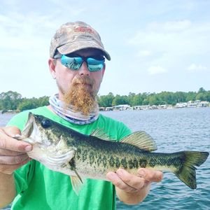 Largemouth Bass Beauty Captured In Santee Cooper