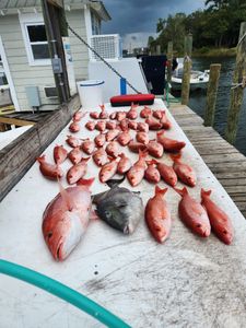 Red Snapper Fishing