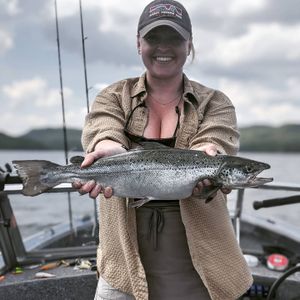 Indulge in premium salmon and trout fishing.