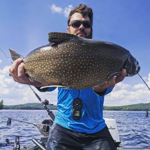 Explore top-rated NY trout fishing.