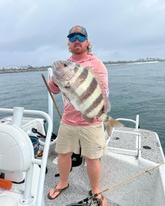 Sheepshead dont get much bigger than this!