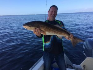 Red Drum in Salty Jig Charters