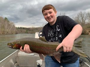 Rainbow Trout in Pere Marquette River