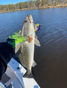 Cold winter time trout fishing 