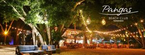7 Premier Things to Do in Tamarindo