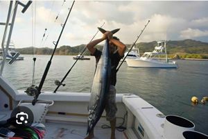 The Marina Flamingo Fishing Report