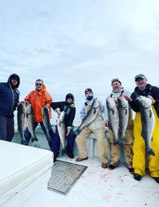 Top Rated Striped Bass Charter in Cape May, NJ
