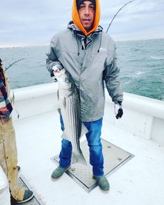 Delaware Striper Fishing Charters 