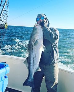 Hooked a Large Striper in Cape May, NJ