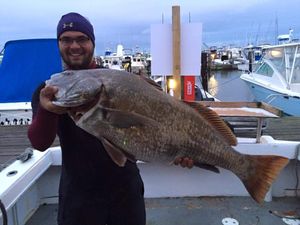 Hooked a Large Black Drum in Cape May