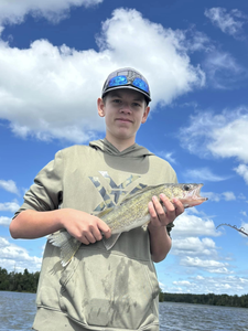 Minnesota Fishing Report 