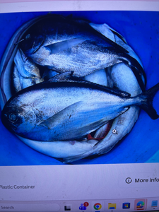 Butler Beach Rock Fishing: African Pompano with Ray Chaters trst