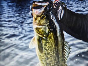 Butler Beach Flats Fishing: Non-Stop Action with Ray Chaters