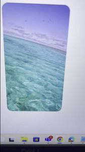 Coastal Adventure: Trolling and Laughs on Florida's Rock Sea