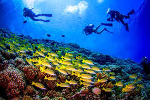 July afternoon dive with Kaviya - perfect timing before the rain