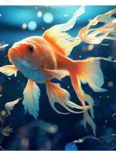 Plunging into the Depths: An Extraordinary Goldfish Adventure with Ray Charters