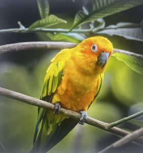 Ray Charters - Discover the Aquatic Wonders of Block C, AECS Layout with Angler Extraordin