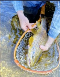 Galibore Fishing Expedition: Diverse Techniques, Epic Catches on Block C