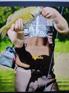 Inshore Fishing Frenzy: An Unforgettable Day on ITPL Main Road