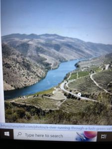 Fishing Adventure in Shalivahana Nagar's Serene Waterways