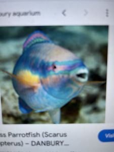 Galibore's Glorious River Fishing Adventure