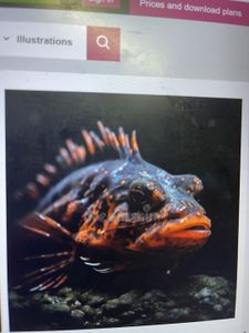 Galibore Fishing Adventure - Exploring the Wonders of Block C, AECS Layout2