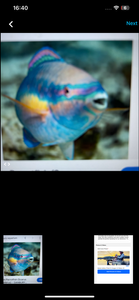 Galibore Fishing Adventure - Discovering the River's Wonders