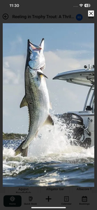 Inshore Fishing Adventure: Casting Amid Gulf Shores' Rainy Charm