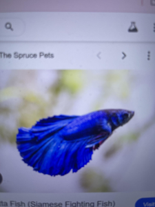 Serene Sunrise: A Quiet Day on Butler Beach's Inshore Waters