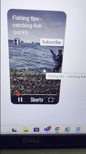 Reeling in Adventure: A Versatile Fishing Excursion in Florida