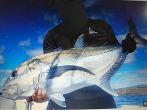 Florida NY Flats Action: Giant Trevally & Bass with Ray Chaters