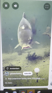 Reeling in Adventure: An Inshore Fishing Odyssey in Gulf Shores