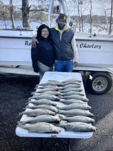 Reeling in Excitement: A Thrilling Fishing Expedition on the Kaveri