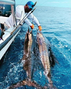 Prized Predators and Pristine Shores: An Inshore Fishing Adventure