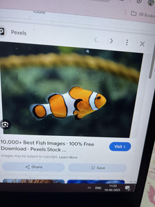 Casting for Adventure: A Fishing Expedition in the Tranquil Krishna