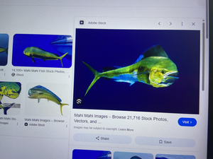 Fall Mahi Mahi Success: Kaveri River Basin Backcountry Trip