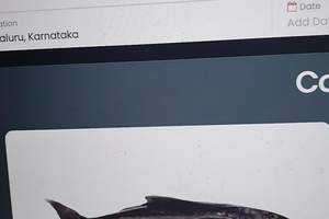 "Thrilling Cobia Clash & Diverse Catch: Jacksonville Offshore Adventure"