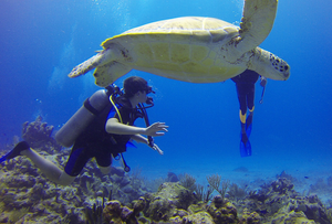 Captivating Coral, Enchanting Encounters: Scuba Adventure with Ray