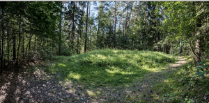 Inshore Fishing Adventure: Exploring Butler Beach's Thrilling Waters