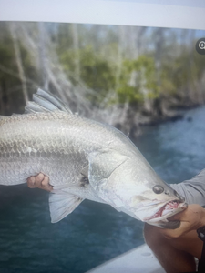 Captivating Fishing Adventure in Kaveri River Basin
