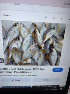 Chasing Thrills: A Water Sports Scuba Diving Adventure in Tudki