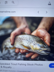 Jacksonville Flats Sea Trout Action with Ray Chaters Guide Service