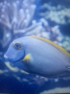 Reeling in Excitement: A Kaveri River Fishing Expedition