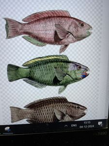 Serene River Fishing Adventure: Casting for Thrills in B Block, AECS Layout