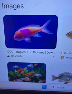 Winter Inshore Action at Butler Beach - Rock Sea Adventure Trip