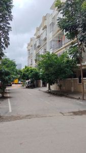 Trout Triumph on the Tranquil River - A Fishing Adventure to Remember